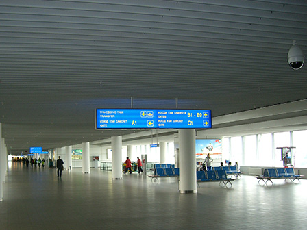 Dobner Lamellendecke